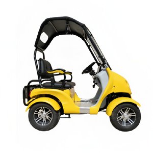 Scooter électrique 4 roues 60V800W pour adultes, <span class=keywords><strong>mini</strong></span> voiturette de club, loisirs, 2 places, chariot de golf - Product Image 2