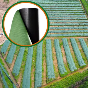 غطاء ثلاس زراعي مزدوج الطبقات أسود وأخضر للزراعة تحت الأشعة فوق البنفسجية مع مسند للتحكم في الأعشاب الضارة