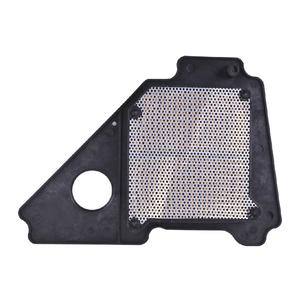 Filtre à air pour moteur de moto 125cc pour <span class=keywords><strong>Yamaha</strong></span> YBR125 2005-2016 <span class=keywords><strong>YBR</strong></span> <span class=keywords><strong>125</strong></span> <span class=keywords><strong>Custom</strong></span> 2009-2016 5VL-E4450-12 5VL-E4450-10 - Product Image 2