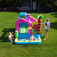 Château gonflable Flamingo Doctor Dolphin avec toboggan aquatique extérieur, structure de saut en tissu Oxford 420D+840D et souffleur