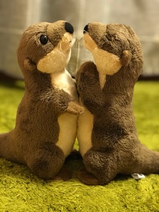 Nutria <span class=keywords><strong>de</strong></span> Río euroasiático <span class=keywords><strong>de</strong></span> peluche, animales salvajes realistas, juguetes <span class=keywords><strong>de</strong></span> peluche, <span class=keywords><strong>nutrias</strong></span> suaves realistas, superventas - Product Image 5