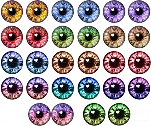 6mm-50mm pêche en mer tête de gabarit leurre <span class=keywords><strong>yeux</strong></span> verre Cabochon <span class=keywords><strong>yeux</strong></span> Multi couleur bricolage accessoire pour jouets bijoux - Product Image 2