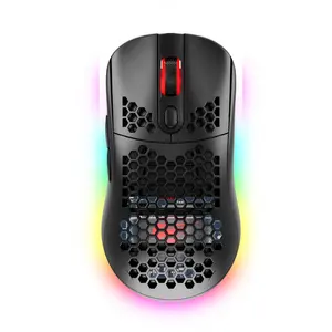 Ms954W Havit Dual Mode 2.4G Optical Computer Mouse 10000Dpi Adjustable Rgb Gaming Rechargeable Type C Wireless Mouse Usb