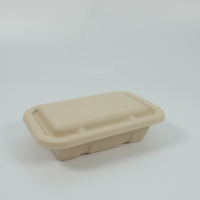 Ecologisch afbreekbare composteerbare salade-fruit-noedel meeneemdoos met deksel van suikerrietpulp (bagasse)