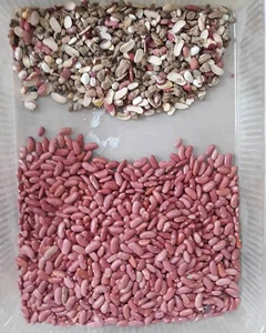 VSEE Coffee Beans 5000 + Color Sorter Rice Separation Machinery CCD Camera Optical Color Sorter - Product Image 5