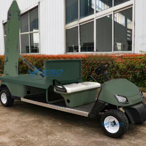 Carrito de Golf Eléctrico de 2 Plazas, Diseño Nuevo, Personalizado, Exportado a Estados Unidos, en Venta - Product Image 6