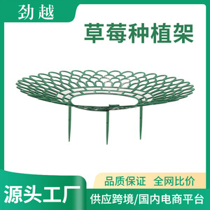 Soporte Redondo para Plantas, Estante para Fresas, Plástico, para Balcón y Jardín, Bandeja de Soporte Duradera, Grande y Pequeña, Verde y Blanco - Product Image 5