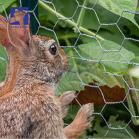 Cage à lapins et crabes de 3/4 po, volière pour pigeons, mangeoire pour poulets et volailles de combat, clôture hexagonale en fil métallique pour canards et animaux de compagnie