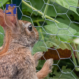 Jaula <span class=keywords><strong>hexagonal</strong></span> de <span class=keywords><strong>alambre</strong></span> de 3/4 de pulgada para conejos, cangrejos, palomas, gallinas, aves de corral, patos y mascotas - Product Image 2