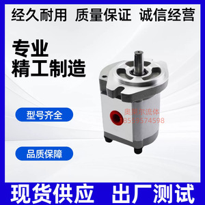 P204 High Pressure Gear <b>Pump</b> 350 <b>Bar</b> 1 Stage Hydraulic Oil <b>Pump</b> For Industrial Use - Product Image 3
