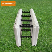 Bloc d'isolation EPS ICF de conception moderne à prix d'usine SongMao économe en énergie et respectueux de l'environnement pour la construction