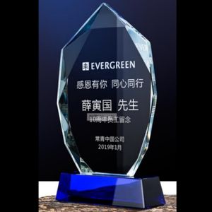 ADL personalizzato Sandblasted Blue Flame sport trofeo di cristallo incisione/stampa UV nuovo stile Love Theme Award per l'annuale - Product Image 4