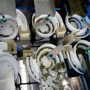 MD-160 usine prix automatique PLA Nylon ultrasons étanchéité Triangle sachet de thé café poudre remplissage Machine d'emballage avec <span class=keywords><strong>enveloppe</strong></span> - Product Image 3