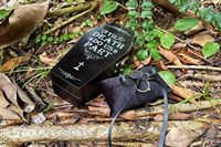 Grossiste Gild & Glamour Boîte à bagues en bois noir pour mariage d'Halloween