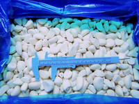 OEM/ODM de Alta Calidad, Venta Caliente, Fábrica China, Alimentos Vegetales Congelados para Venta al por Mayor y al por Menor, Ajos Congelados IQF en Rodajas y Puré
