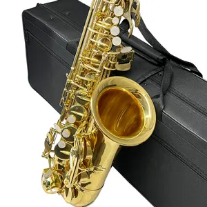 Bom Preço Chinês Alta Qualidade Saxofone Alto Superior Desempenho preto níquel corpo Saxophone Alto com Acessórios