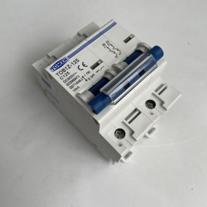 เบรกเกอร์วงจรขนาดเล็ก TOMZN 2P 125A DC MCB 600V สำหรับระบบโซลาร์เซลล์ แบบ C Curve สำหรับแบตเตอรี่หลักและสวิตช์กำเนิดไฟฟ้าพลังงานแสงอาทิตย์ - Product Image 4