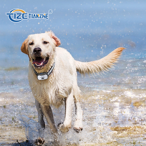 <span class=keywords><strong>Collar</strong></span> antiladridos automático para perros, entrenador electrónico para mascotas - Product Image 6