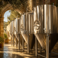 Cuve de Fermentation de Bière Tonsen 6000L, Fermenteur Conique à Double Enveloppe en Acier Inoxydable SUS304 60HL pour Brasserie Commerciale