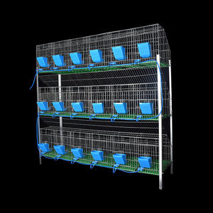 <span class=keywords><strong>Cage</strong></span> de ferme de lapin galvanisée à chaud de style européen à 18 cellules à 3 niveaux de type H avec une durée de vie de plus de 10 ans Nouveau <span class=keywords><strong>design</strong></span> industriel à vendre - Product Image 3