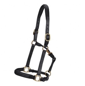 Haltères pour chevaux stables, confortables et durables, en cuir rembourré - Product Image 1