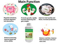 Solution orale multivitaminée pour volailles, booster de croissance, supplément d'acides aminés pour améliorer la santé intestinale et renforcer l'immunité des poulets
