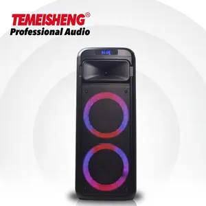 2023 Temeisheng company private model mini size speaker double 6.5inch speaker