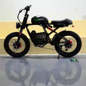 New 3000W 50Ah Super Electric Bike 73 RX Motorcycle Dual Drive Motor Downhill ebike Fat Beach Dirt Soft Tail Electric Bicycle