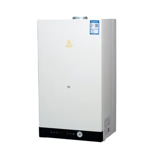 Calentador de agua de 20kW, calentador de Gas de pared, ISO9001, gran oferta