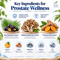 Capsules de Palmier Nain pour la Santé Urinaire et la Prostate des Hommes - Formule à Base de Plantes, Complément Alimentaire, OEM et Marque Privée