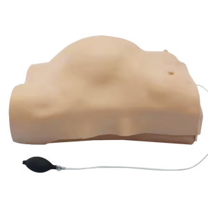 Modèle anatomique de PVC d'examen électronique de femmes enceintes de ADA-FW2 avancé pour la science médicale pour des écoles - Product Image 1