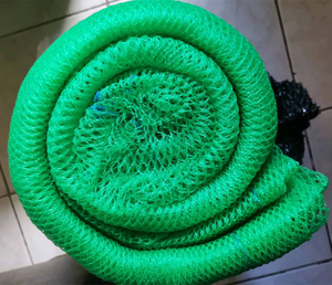 Seriola quinqueradiata cá tôm cua sò điệp Đại Tây Dương cá hồi biển dưa chuột cầu vồng cá hồi nuôi trồng thủy sản Lồng Lưới - Product Image 3