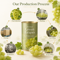 Verse verpakte geconserveerde groene druiven, hele vruchten in lichte siroop, aangepast etiket, eigen merk, fabriek, exporteur, leverancier
