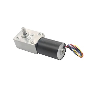 มอเตอร์ดีซีแบบไร้แปรงถ่าน 5840-3650 12V 24V พร้อมเกียร์แบบหนอน 6 สาย พร้อมเบรก/5 สาย ไม่มีเบรก - Product Image 6