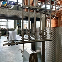 Équipement de distillerie ZJ 1700L, système de distillation multi-espèces, ligne de production clé en main de whisky, rhum, vodka, gin