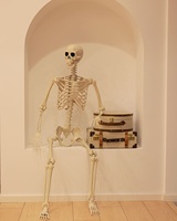 Decoración de Esqueleto de Halloween de 165 cm (5 pies), Tamaño Real, Articulado, para Jardín, Fiestas y Casas Encantadas
