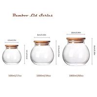 Pot sphérique en verre borosilicate avec couvercle en liège, récipient en verre pour micro-paysage, terrarium pour plantes succulentes, fougères, mousse et plantes aériennes