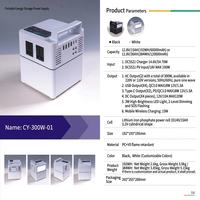 Station d'alimentation portable 300W 4S au phosphate de fer lithium 12,8V avec onduleur à onde sinusoïdale pure, démarreur de batterie, recharge sans fil et compatible solaire
