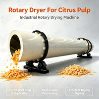 Rotatiedroger voor citrusvruchtenpulp, industriële rotatiedroogmachine, apparatuur voor het dehydrateren van citrusvruchtenpulp