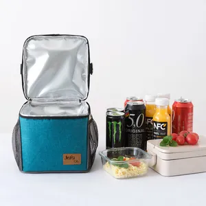 Promotional Non Woven Insulated Outdoor Picnic Food Cooler Bag Custom Logo Wine Tote Bag With Cooler