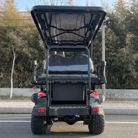 Pièces de voiturettes de golf, kits de carrosserie pour buggy de golf et dune buggy