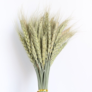 Bouquet <span class=keywords><strong>de</strong></span> fleurs séchées naturelles (<span class=keywords><strong>blé</strong></span>, marguerite et <span class=keywords><strong>orge</strong></span>) pour <span class=keywords><strong>d</strong></span>écoration <span class=keywords><strong>de</strong></span> jardin, marque HSJ, fleurs véritables du Guangdong - Product Image 4