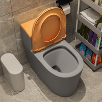Inodoro de Cerámica de Lujo a Precio Económico, Sanitarios de Alta Gama, Inodoro Gris, Inodoro de Pie para Baño