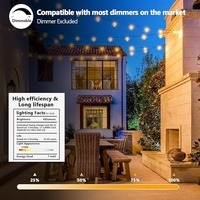 Guirlande lumineuse extérieure LED Hotsale 100FT lumières de patio avec 52 ampoules incassables à l'extérieur des lumières suspendues étanches