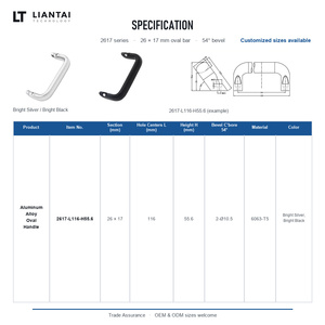 Aluminum Alloy Door Handle Silver or <strong>Black</strong> Industrial Instrument Cabinet <strong>Pull</strong> Handle Oval Beveled Countersunk Equipment Handle - Product Image 6