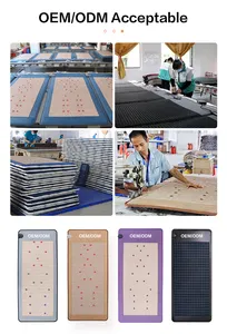2023 New Arrivals Product PEMF Magnetic Therapy Device Amethyst Crystal Infrared Chakra Mats