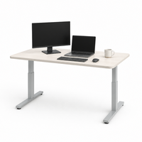 Base de bureau électrique sur mesure à double moteur et 2 niveaux pour marques à marque privée (OEM/ODM)