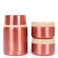 Vente en gros de gobelets isothermes modernes de 500 ml à double paroi en acier inoxydable 304 sans BPA, écologiques et portables / Thermos à soupe 12-24