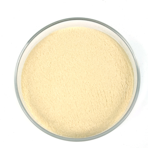 Bifidobacterium Animalis à haute activité : Soutien régulé de la <span class=keywords><strong>flore</strong></span> <span class=keywords><strong>intestinale</strong></span>, résistant aux acides - Product Image 6