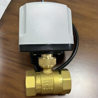 Vanne à boisseau sphérique électrique en laiton étanche IP65 DN15-DN50 1/2 pouce 3 fils 2 commandes AC220V DC12V DC24V Normalement Ouverte/Fermée